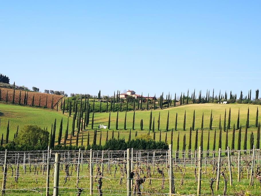 Castello Di Fulignano Ottone Superior Apartment San Gimignano Exterior foto